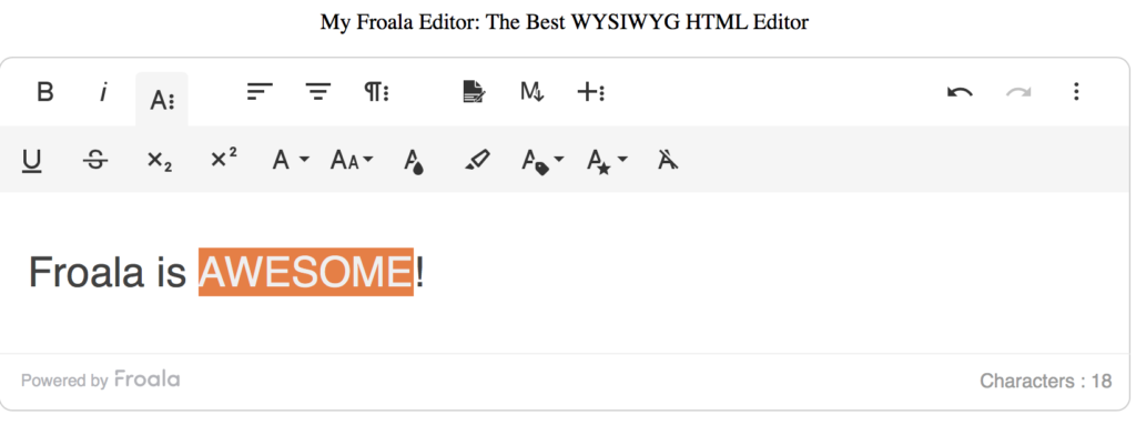 HTML page after following all the steps for How to Add a Text Editor in HTML Form