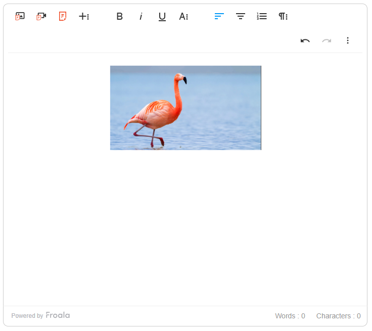 The flamingo photo, now flagged as safe for work, appears on the WYSIWYG editor