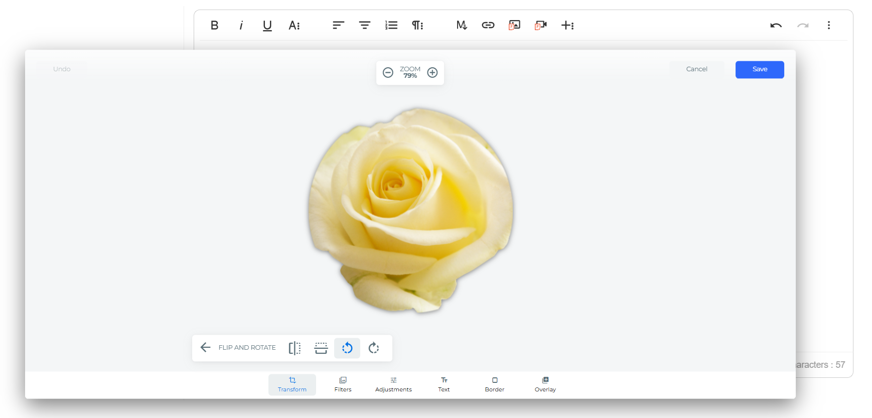 Image flip and rotate
