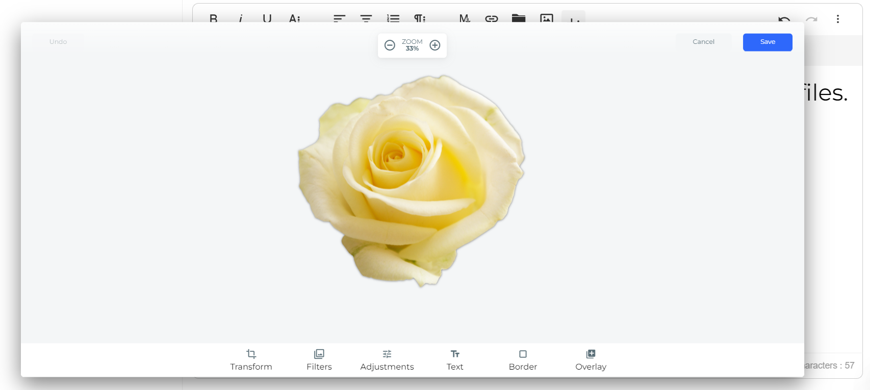 Transformation User Interface