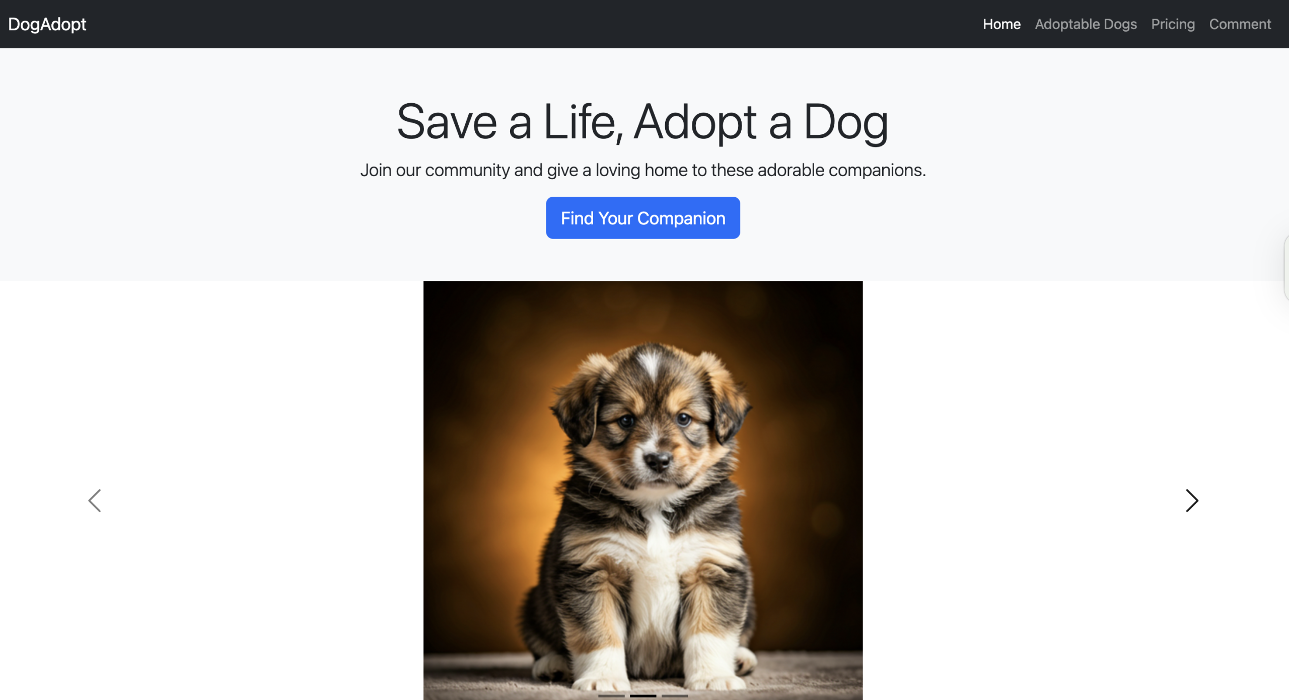 Froala Bootstrap page after adding carousel