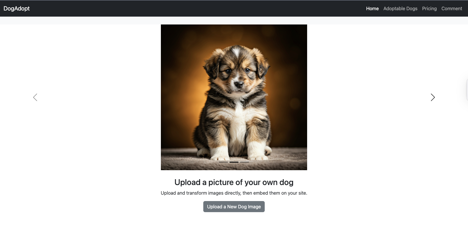 Froala Bootstrap webpage after adding Filestack file uploader