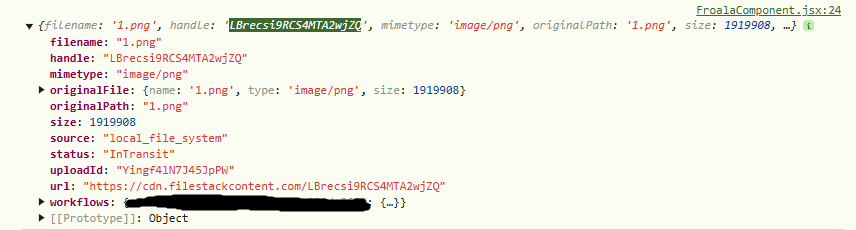 The image shows the results from the Filestack upload from the HTML editor software.