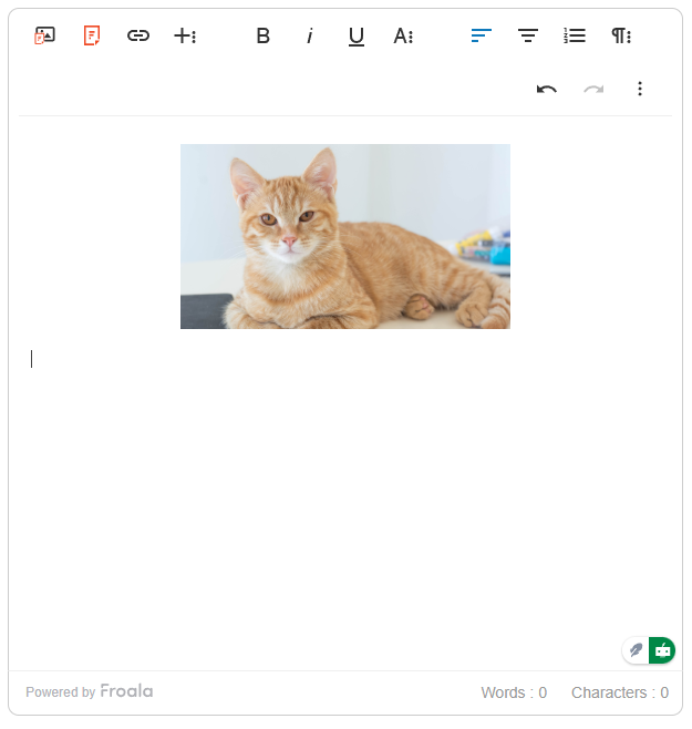 The uploaded image is now on the HTML editor software.