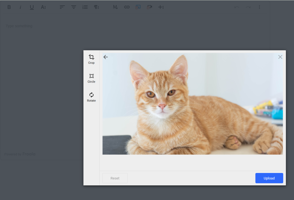 An image is checked by Filestack's SFW detection once uploaded.